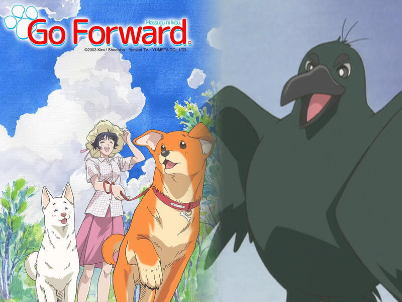 Hashibuto - Go Forward (Massugu ni Ikou) English Dub